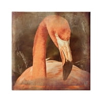 Stupell Industries Vintage Flamingo Állat Portré Állatok & Rovarok Festmény Galéria Csomagolva Vászon Nyomtatás Wall
