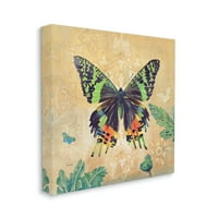 Stupell virágos pillangó szüreti minta állatok és rovarok festménygaléria csomagolt vászon nyomtatott fal művészet