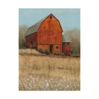 Védjegy képzőművészet 'Red Barn View I' vászon művészet Tim OToole