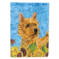 Caroline kincsei SS4132-zászló-szülő Norwich Terrier zászló, Többszínű