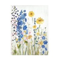 Sandra iFrate 'Periwinkle Wildflowers I' Canvas Art
