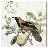 A Wynwood Studio állatok fali művészete vászon nyomtatja a „madár a fa fényét” madarak - zöld, barna