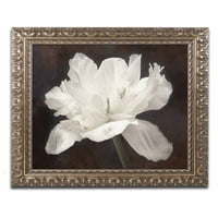 Védjegy Képzőművészet 'White Tulip i' Cora Niele vászon művészete, arany díszes keret