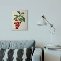 Stupell Industries Vintage Fruit Cherry Painting Canvas Wall Art By Vision Studio