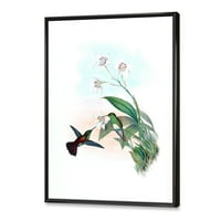 Designart 'Történelmi Kolibri Repülő Egy Virág' Hagyományos Keretes Vászon Fal Art Print