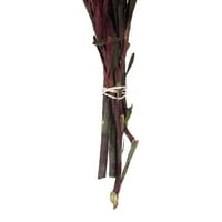 Vickerman 8-20 Merlot Plumosum, női virág fejek kötegenként, tartósított