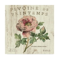 Védjegy Szépművészet 'Pivoine de Printemps sq' vászon művészete: Sue Schlabach