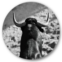 Designart 'A spanyol bika II fekete -fehér portréja' parasztház körfém fali művészet - 36 lemez