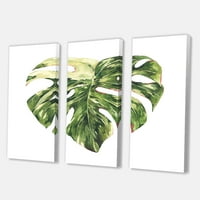 Trópusi zöld levelek fehéren a nyári időkben III festmény vászon art nyomtatás