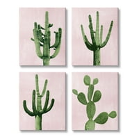 Stupell Industries merész rózsaszín Sivatagi Kaktusz növények száraz növényzet grafikus Művészeti Galéria csomagolt
