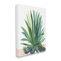 Stupell Aloe Növény Botanikai Levelek Botanikai & Virágos Festmény Galéria Csomagolt Vászon Nyomtatás Wall Art
