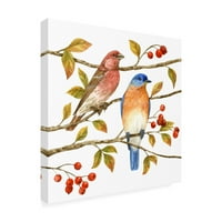 Védjegy képzőművészet 'madarak és bogyók IV' vászon művészet Jane Maday