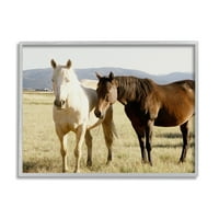 Stupell vidéki lovak állati természet fotózás állatok és rovarok fényképezés szürke keretes művészeti nyomtatási fal