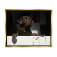 Stupell Industries Labrador kutya, kilátással a farmfarmos pajta ajtófotó Fémes arany úszó keretes vászon nyomtatott