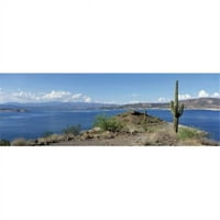 Kaktusz a tóparton egy hegyvonulattal a háttérben Lake Pleasant Arizona USA poszter nyomtatás by - 12