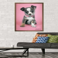 Keith Kimberlin-kiskutya rózsaszín háttér fal poszter, 22.375 34