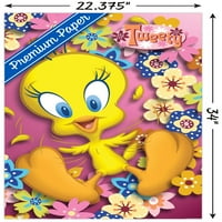 Looney Tunes-Tweety Bird-Power Fal Poszter, 22.375 34