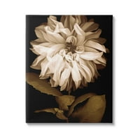 Stupell Modern Fehér Krizantém Szirmok Botanikai & Virágos Fotógaléria Csomagolt Vászon Nyomtatás Wall Art