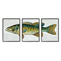 Stupell Lake House basszus halak vadon élő állatok és rovarok festés fekete keretes művészet nyomtatott fali művészet,