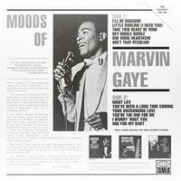 Marvin Gaye-hangulatok Marvin Gaye-Vinyl