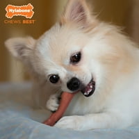 Nylabone Power Chew ízesített tartós rágó játék kutyáknak Bacon X-kicsi Petite